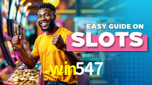 Casino VIP win547